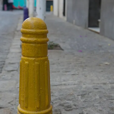 Selecta In Alameda Seville